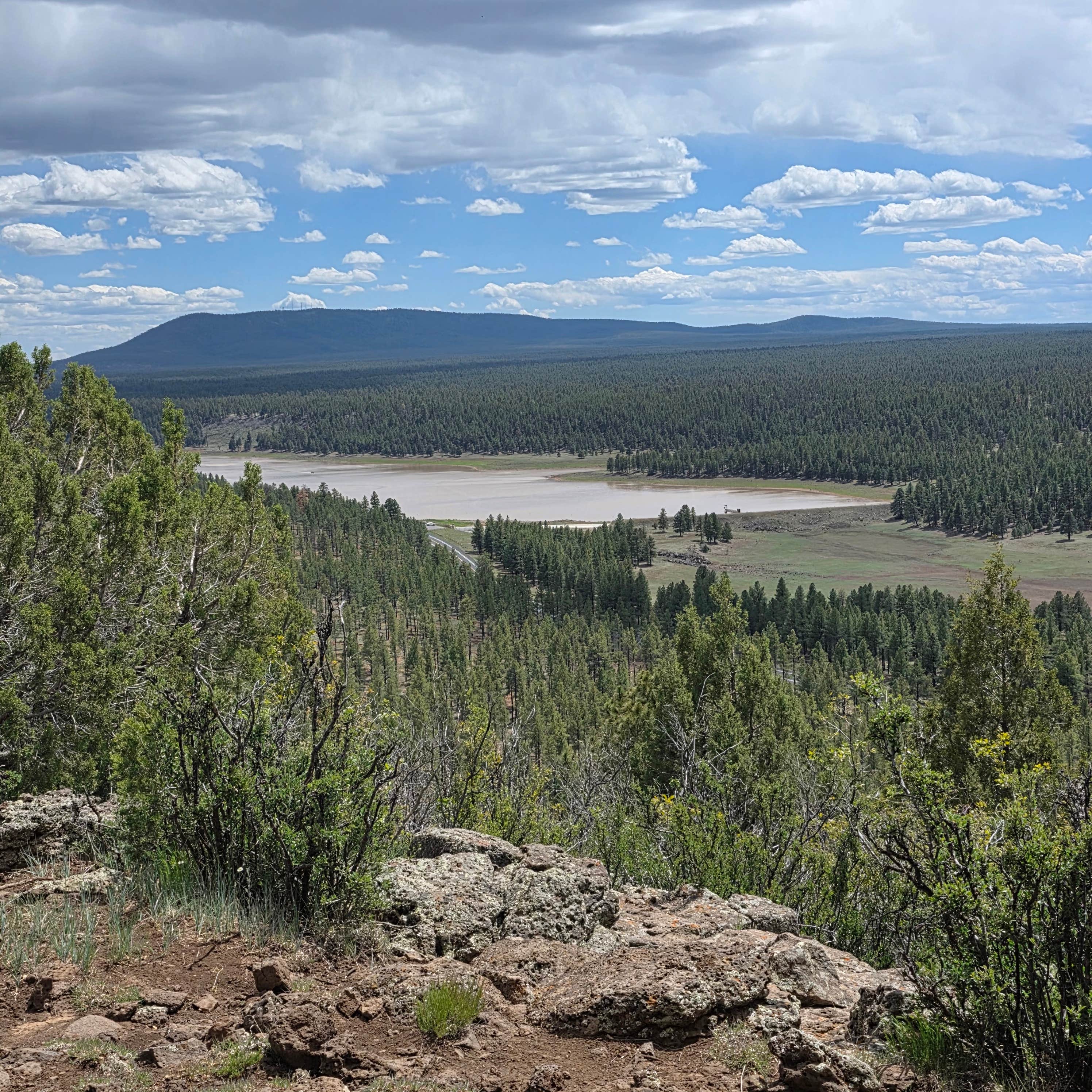 dMitri D.'s photo of a dispersed camping area at Marshall Lake near Flagstaff, AZ