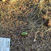 Review photo of Marshall Lake by Kaila R., July 26, 2025