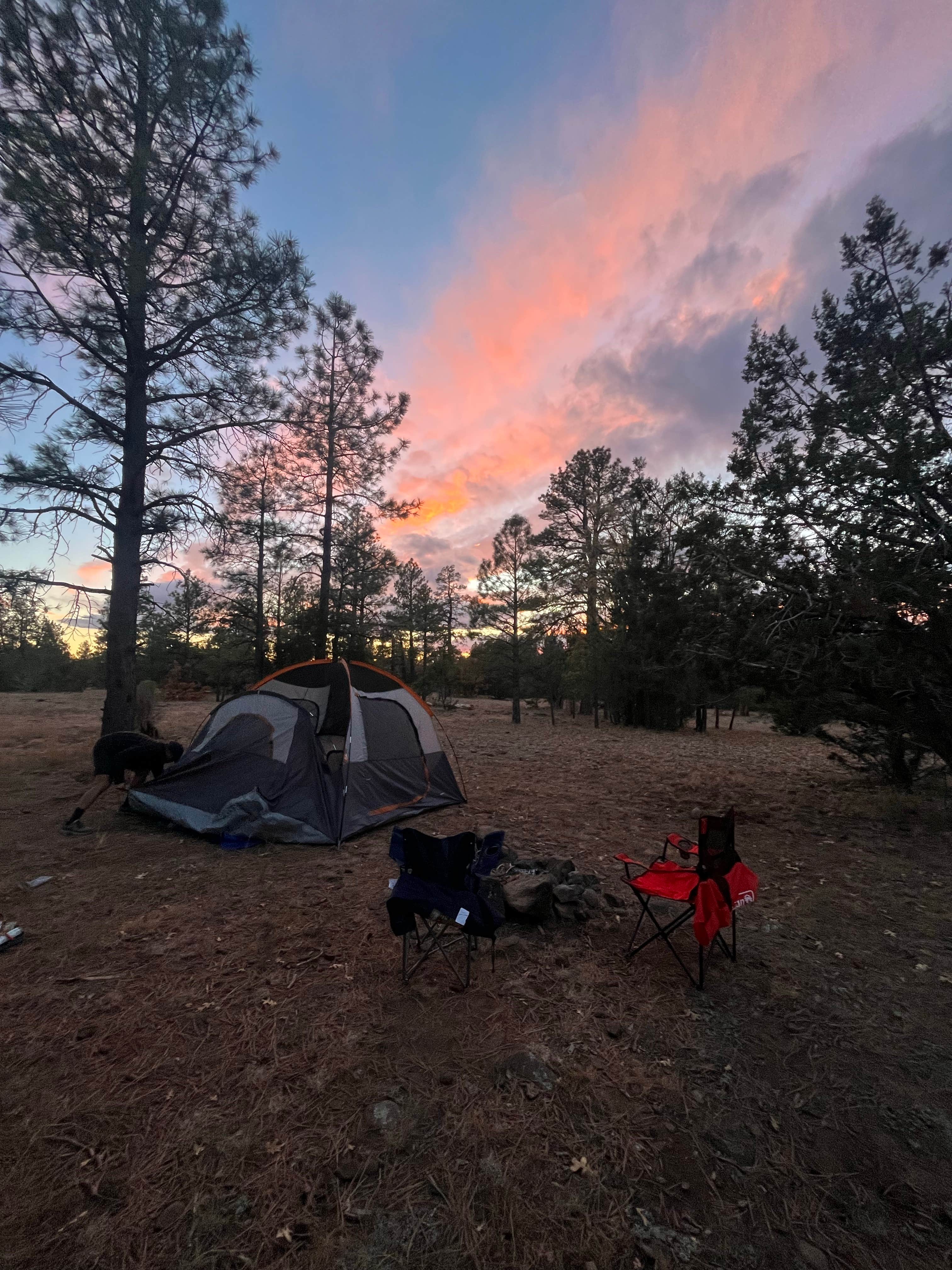 Anna E.'s photo of a dispersed camping area at Marshall Lake near Mormon Lake, AZ
