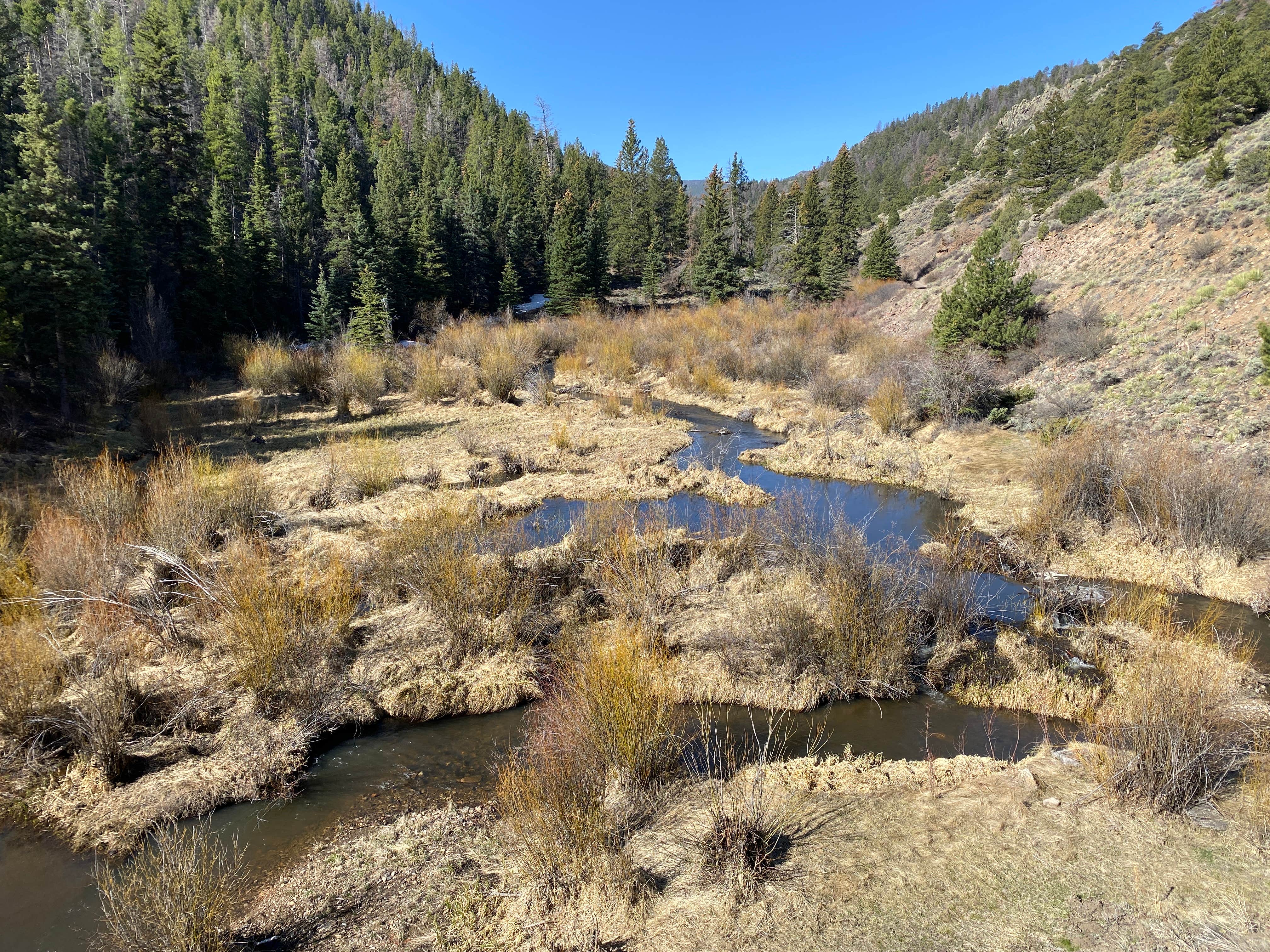 Camper submitted image from Marshall Pass Dispersed - 5