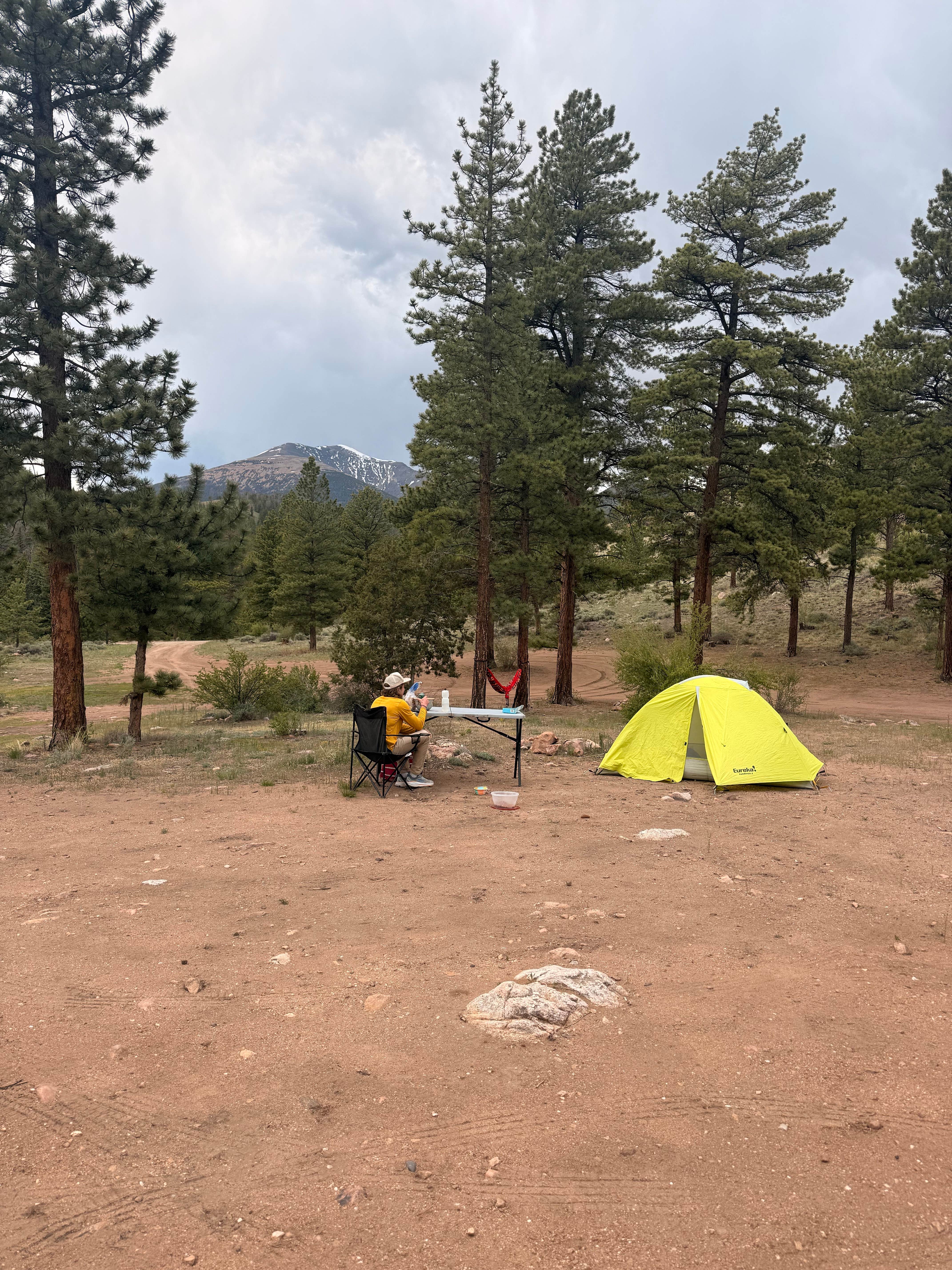 Jamie W.'s photo at Marshall Pass Dispersed near Villa Grove, CO