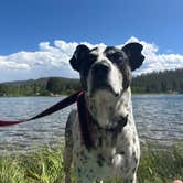 Review photo of Marshall Pass by Nora S., July 1, 2025