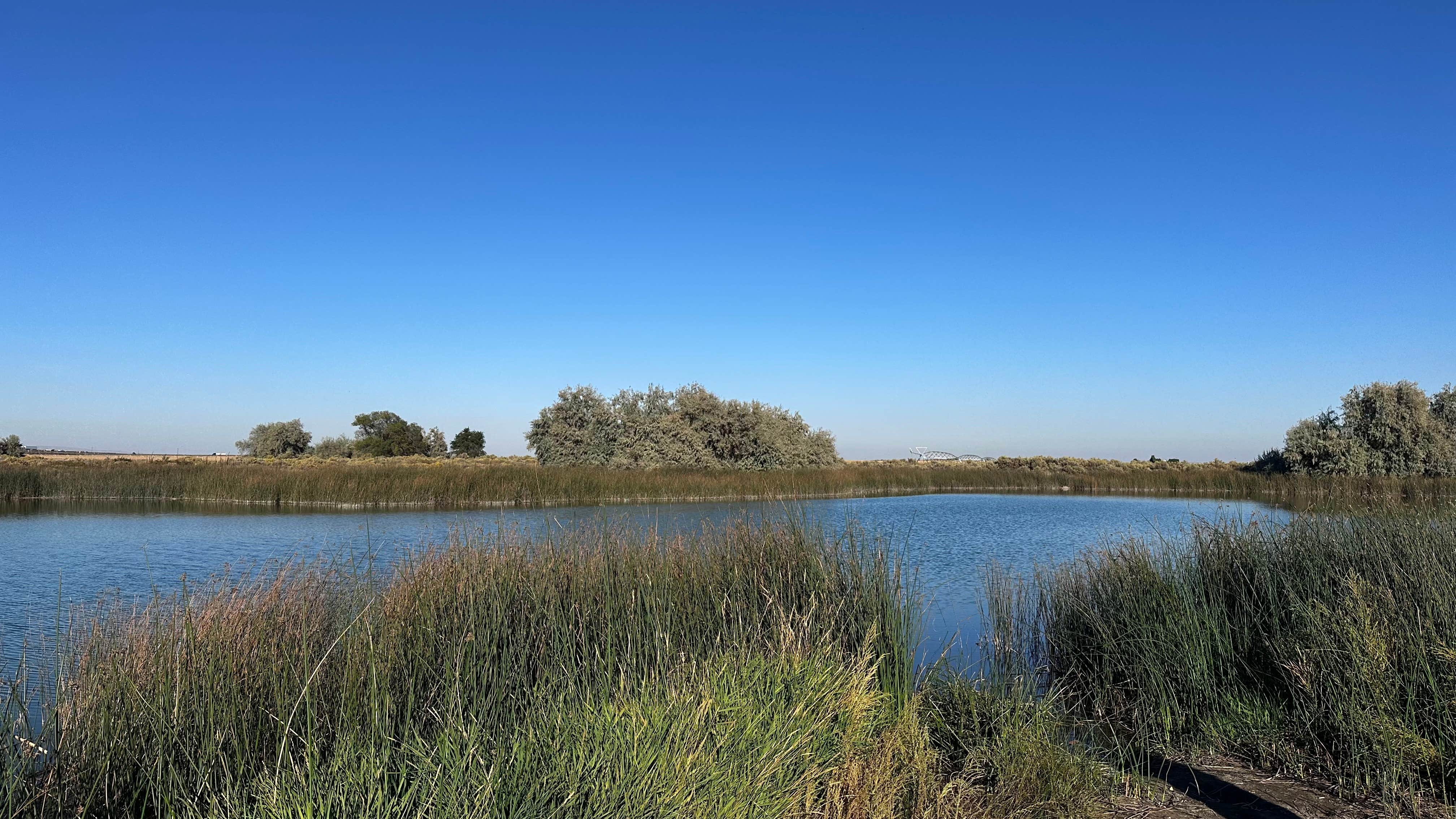 Camper-submitted photo at Martha Lake Dispersed Camping near Vantage, WA