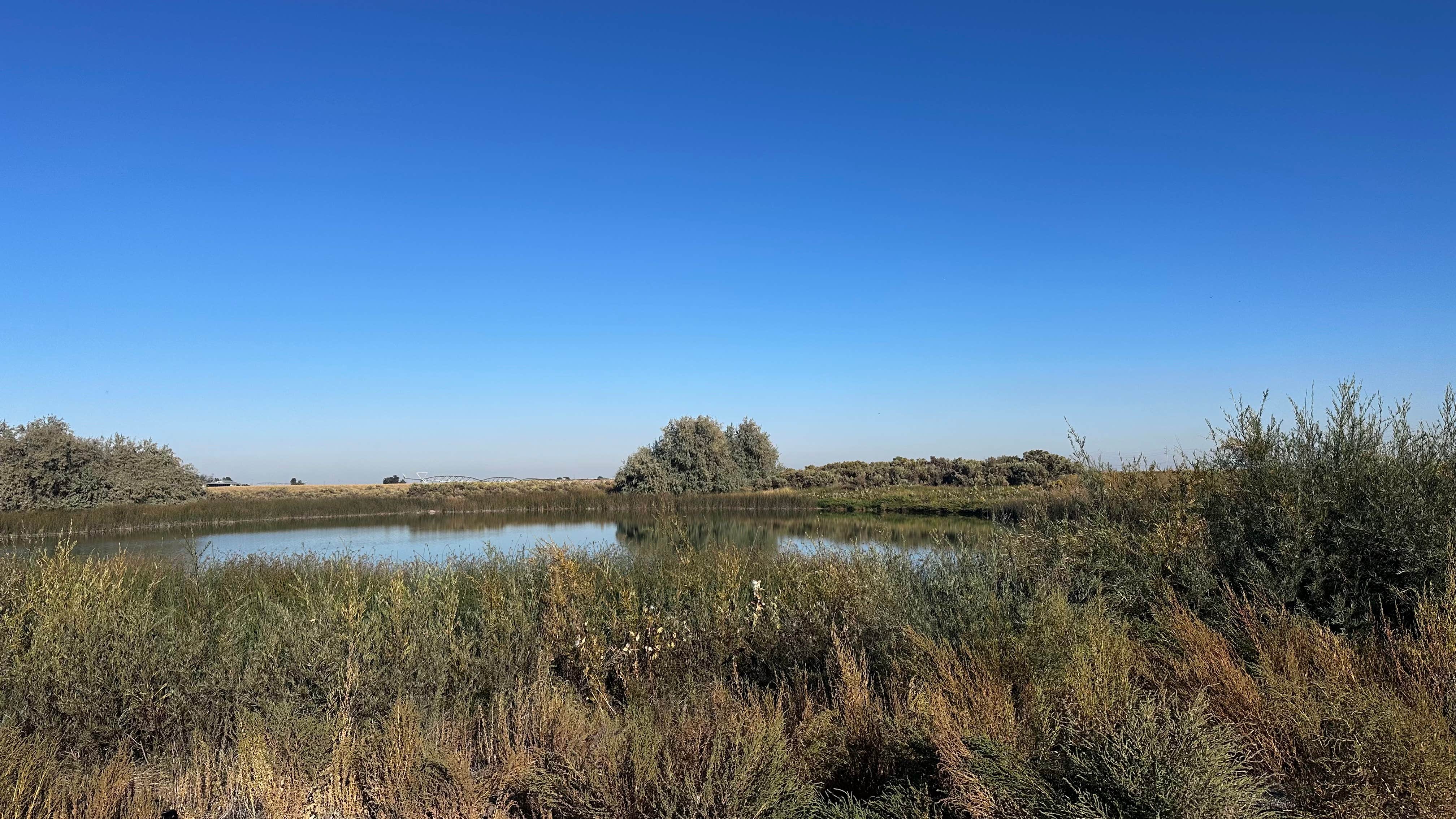 Camper-submitted photo at Martha Lake Dispersed Camping near Quincy, WA