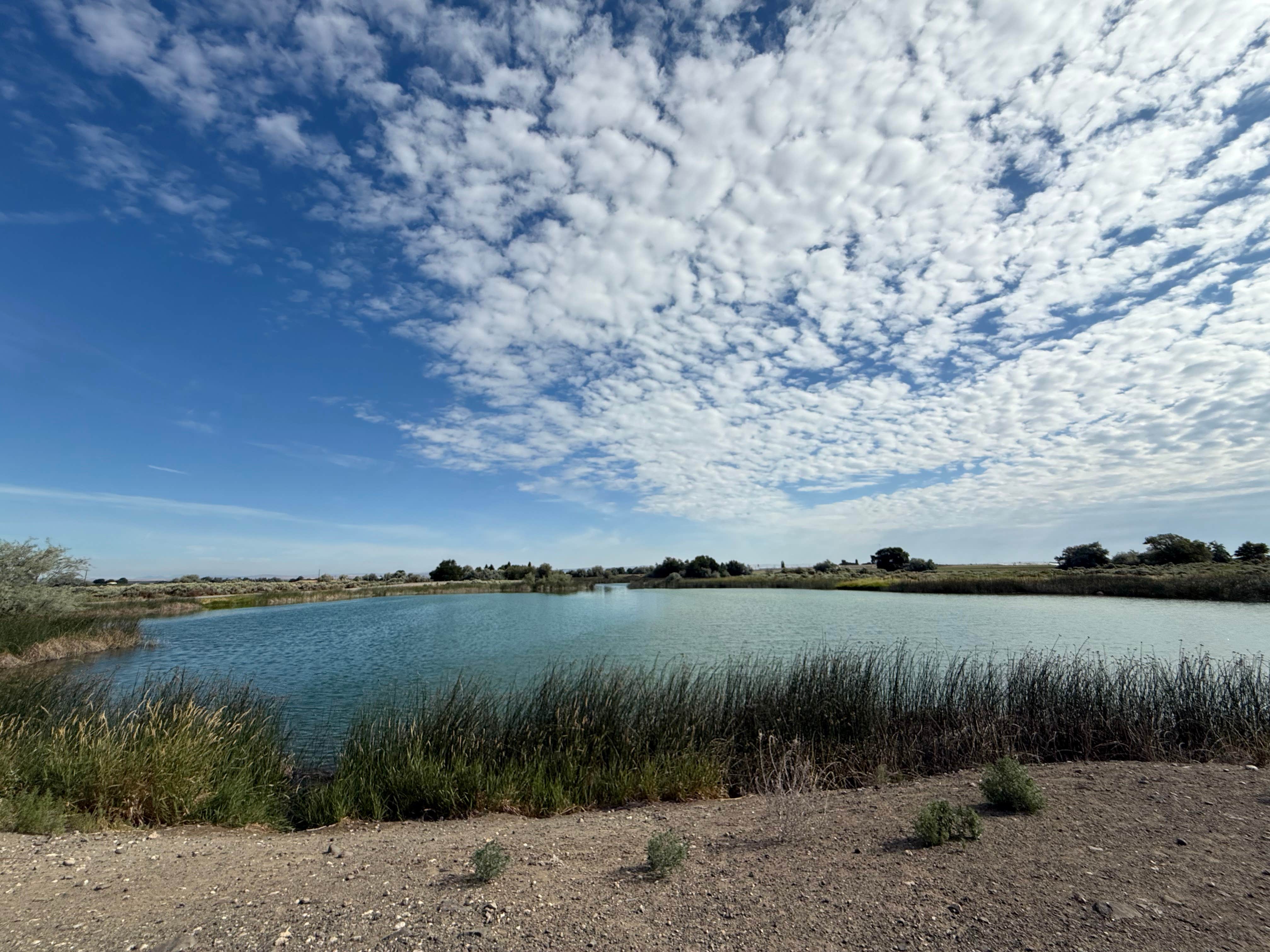 Martha Lake Dispersed Camping