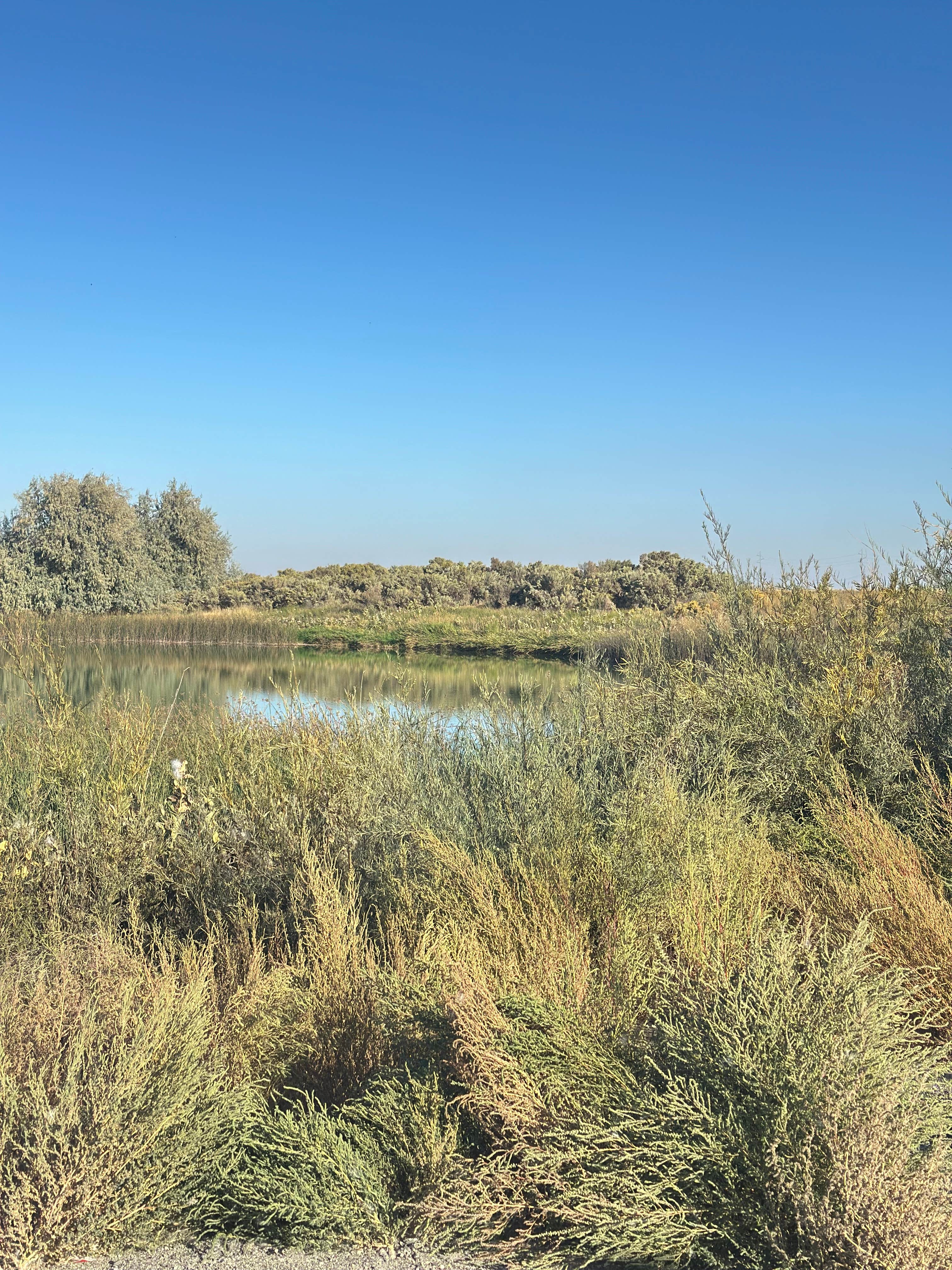 Martha Lake Dispersed Camping