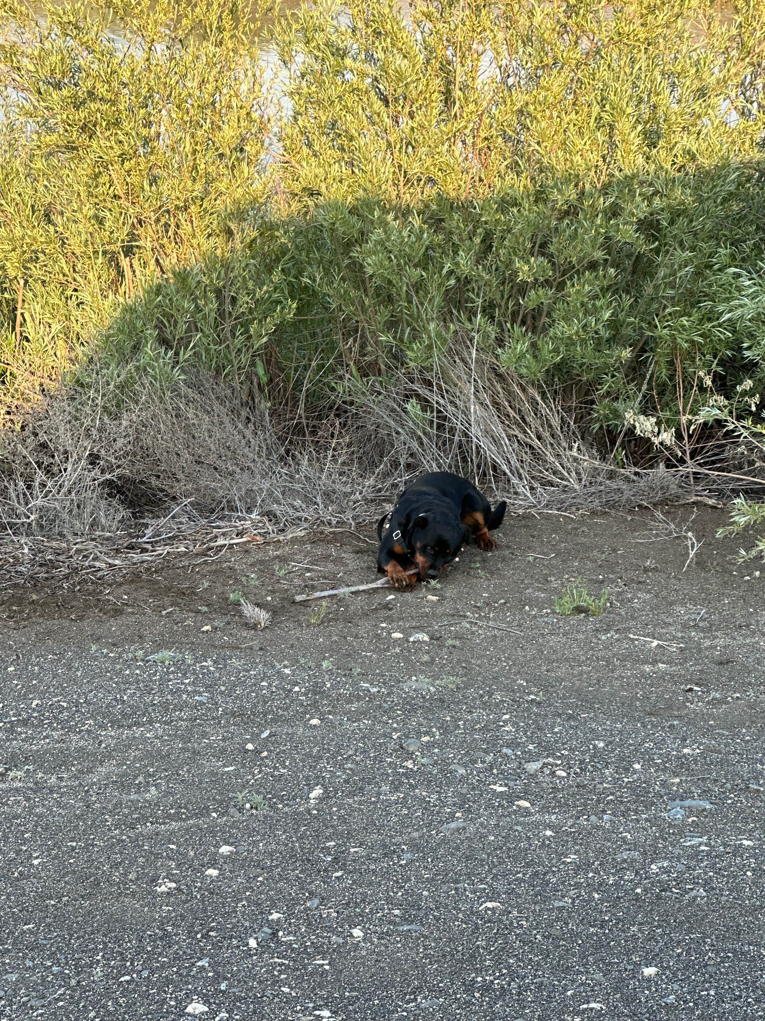 Camper-submitted photo at Martha Lake Dispersed Camping near Vantage, WA