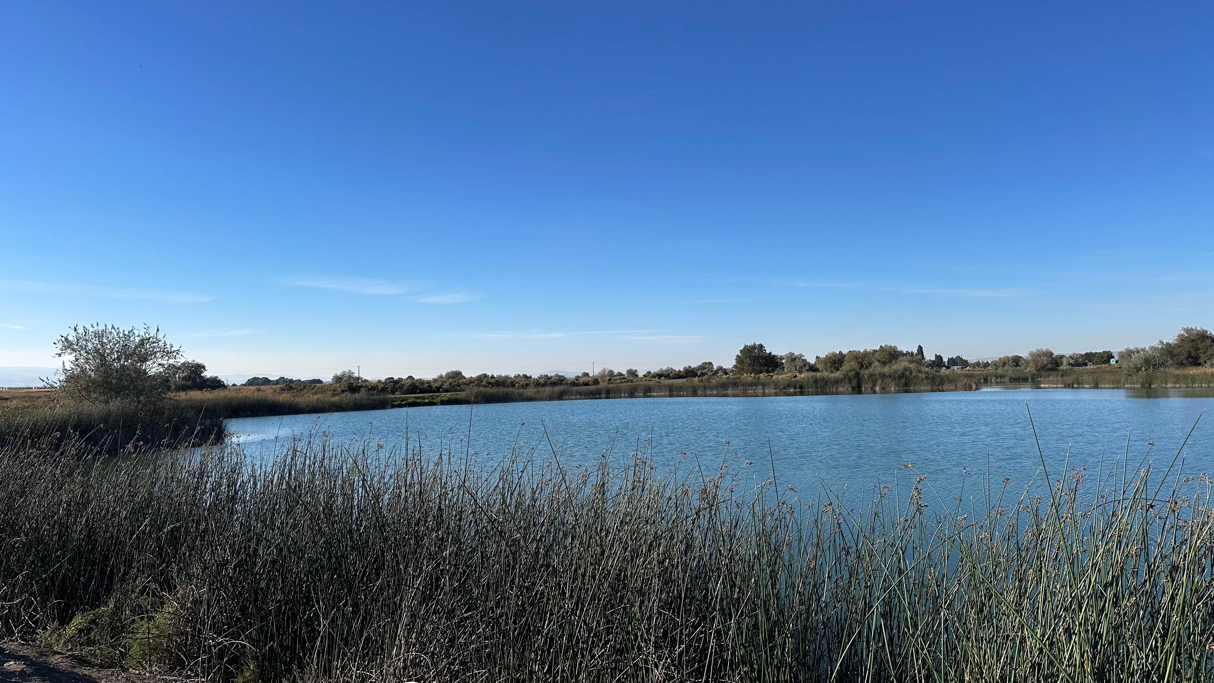 Camper-submitted photo at Martha Lake Dispersed Camping near Vantage, WA