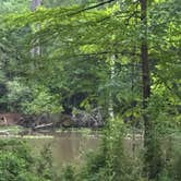 Review photo of Martin Dies, Jr. State Park Campground by Bonnie B., June 2, 2025