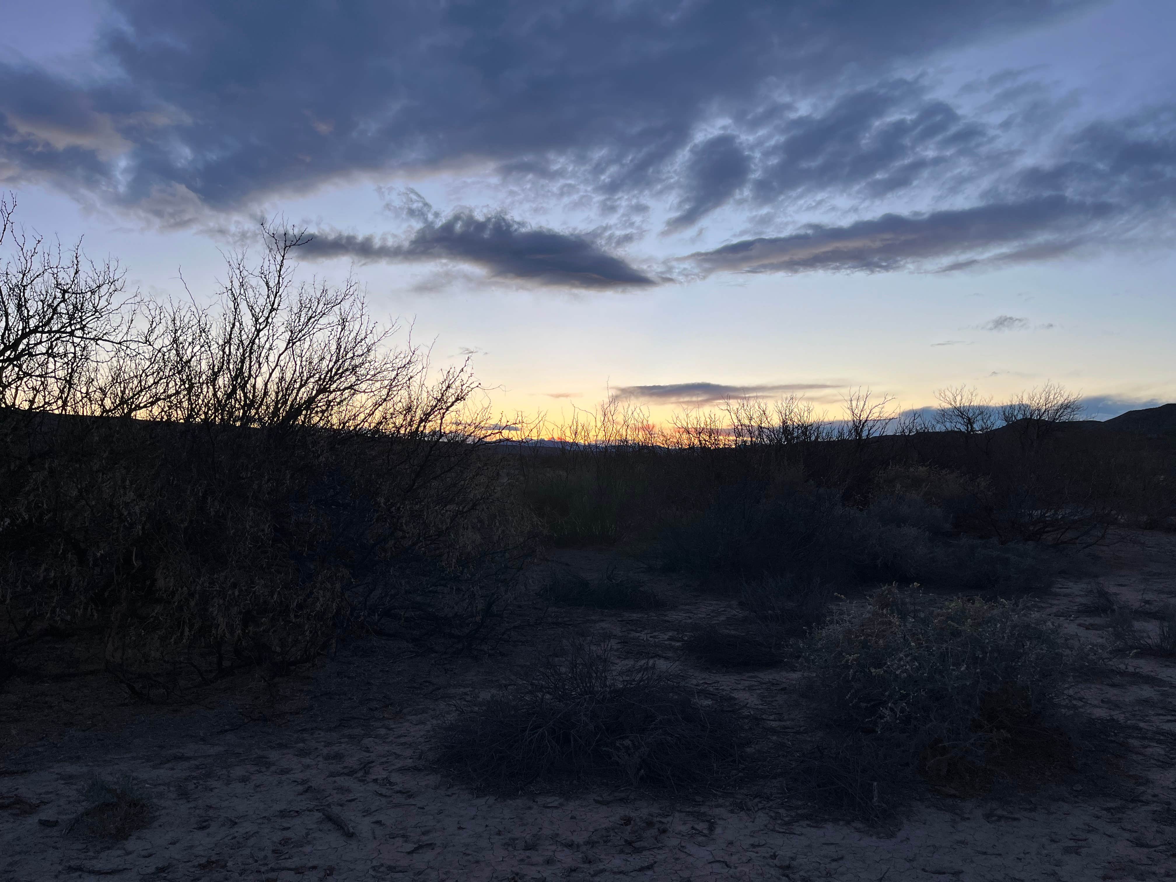 Twan M.'s photo of a dispersed camping area at Monticello Road Dispersed Camping near Caballo, NM