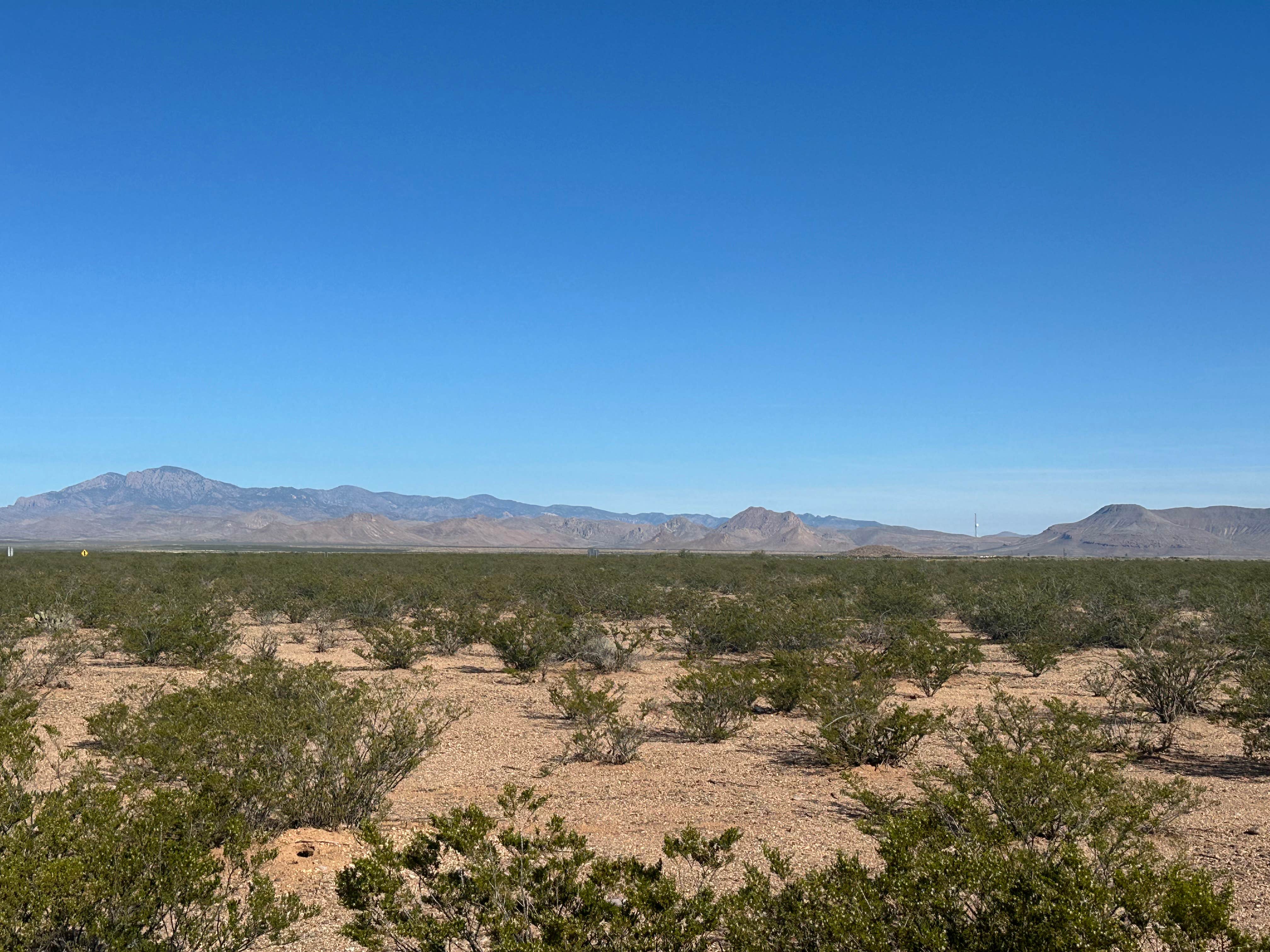 Camper-submitted photo at Monticello Road Dispersed Camping near Elephant Butte, NM