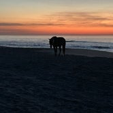 Review photo of Assateague State Park Campground by Lisa D., May 10, 2024