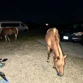 Review photo of Assateague State Park Campground by Jason M., September 11, 2024