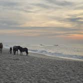 Review photo of Assateague State Park Campground by Madison M., June 12, 2026