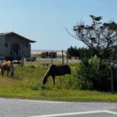 Review photo of Assateague State Park Campground by Katie H., July 1, 2024