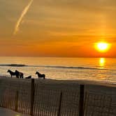 Review photo of Assateague State Park Campground by Lisa D., May 10, 2024