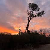 Review photo of Assateague State Park Campground by Laurie H., January 1, 2025