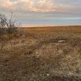 Review photo of Assateague State Park Campground by Laurie H., January 1, 2025