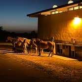 Review photo of Assateague State Park Campground by Katie H., July 1, 2024