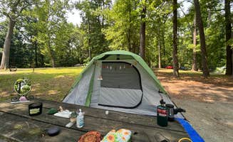 Autumn B.'s photo at Elk Neck State Park Campground in Maryland