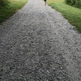 Review photo of Elk Neck State Park Campground by Werner S., September 1, 2025