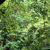 Review photo of Elk Neck State Park Campground by Werner S., September 1, 2025