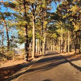 Review photo of Janes Island State Park Campground by Renee P., November 15, 2024