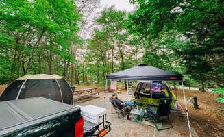 Shanna S.'s photo at Martinak State Park Campground in Maryland