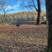 Review photo of McCoys Ferry Campground — Chesapeake and Ohio Canal National Historical Park by Roger W., November 6, 2023