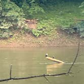 Review photo of McCoys Ferry Campground — Chesapeake and Ohio Canal National Historical Park by Dan M., June 15, 2025