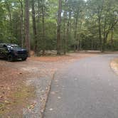 Review photo of Shad Landing Campground by nick H., September 15, 2024