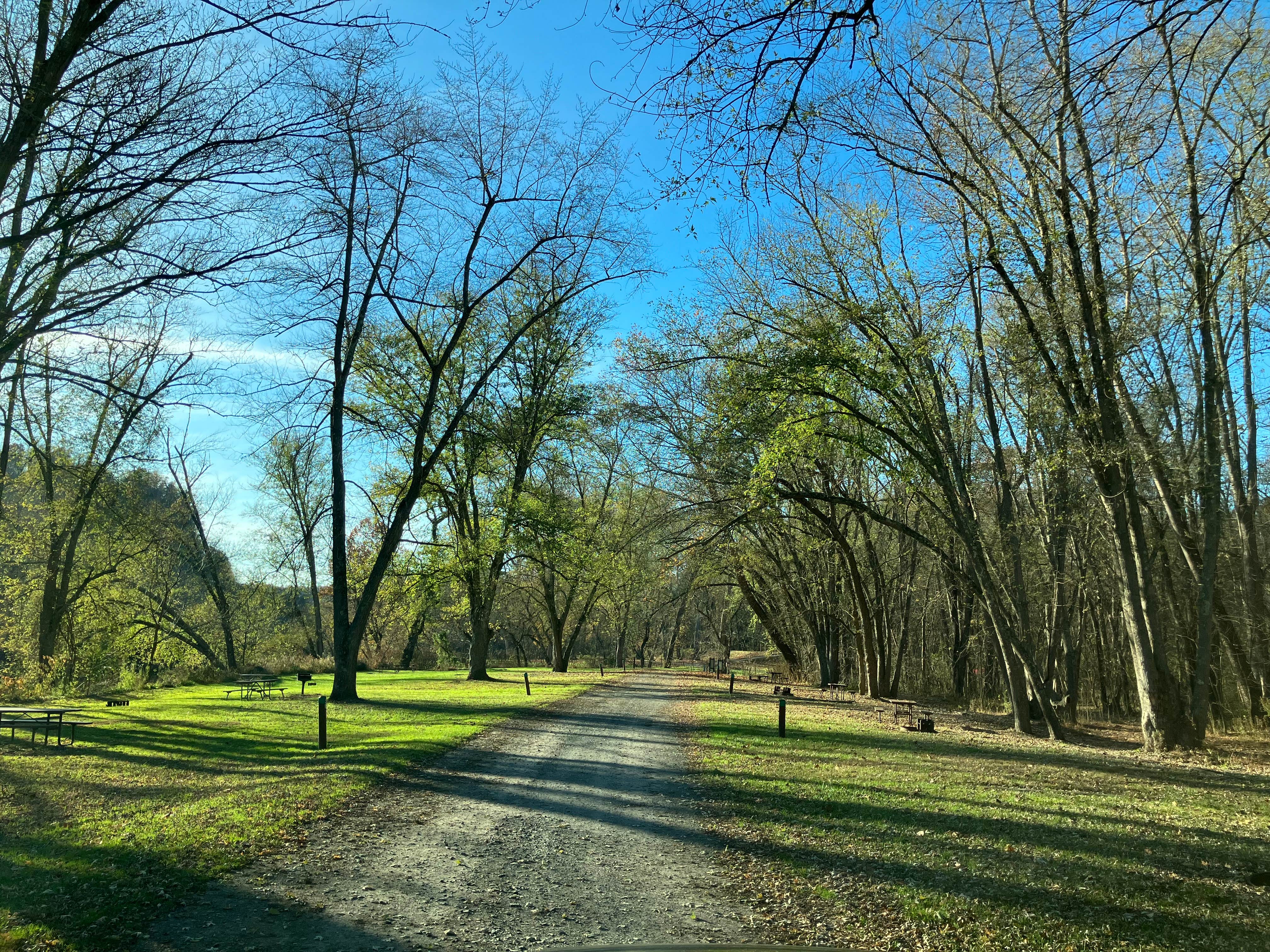 Camper submitted image from Spring Gap Campground — Chesapeake and Ohio Canal National Historical Park - 5