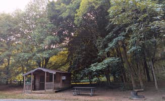 Vanessa S.'s photo of glamping accommodations at Susquehanna State Park Campground near Smyrna, DE