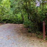 Review photo of Susquehanna State Park Campground by Vanessa S., June 30, 2024