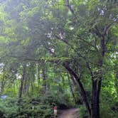 Review photo of Susquehanna State Park Campground by Vanessa S., June 30, 2024