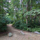 Review photo of Susquehanna State Park Campground by Vanessa S., June 30, 2024