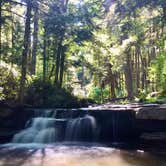 Review photo of Swallow Falls State Park Campground by Katie H., July 1, 2024