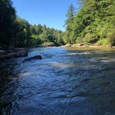 Review photo of Swallow Falls State Park Campground by Katie H., July 1, 2024