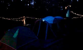 Katie H.'s photo at Swallow Falls State Park Campground near Swanton, MD