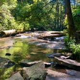 Review photo of Swallow Falls State Park Campground by Katie H., July 1, 2024