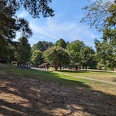 Review photo of Tuckahoe State Park Campground by Vanessa S., September 16, 2024