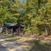 Review photo of Tuckahoe State Park Campground by Vanessa S., September 16, 2024