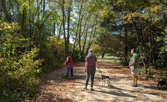 Vanessa S.'s photo of camping with pets at Tuckahoe State Park Campground near Middletown, DE