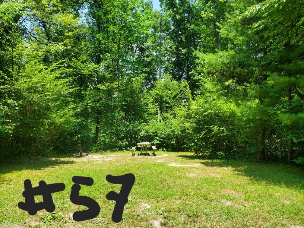 Camper-submitted photo at Mashamoquet Brook Campground — Mashamoquet Brook State Park near Ballouville, CT