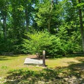 Review photo of Mashamoquet Brook Campground — Mashamoquet Brook State Park by Ashley H., July 5, 2026