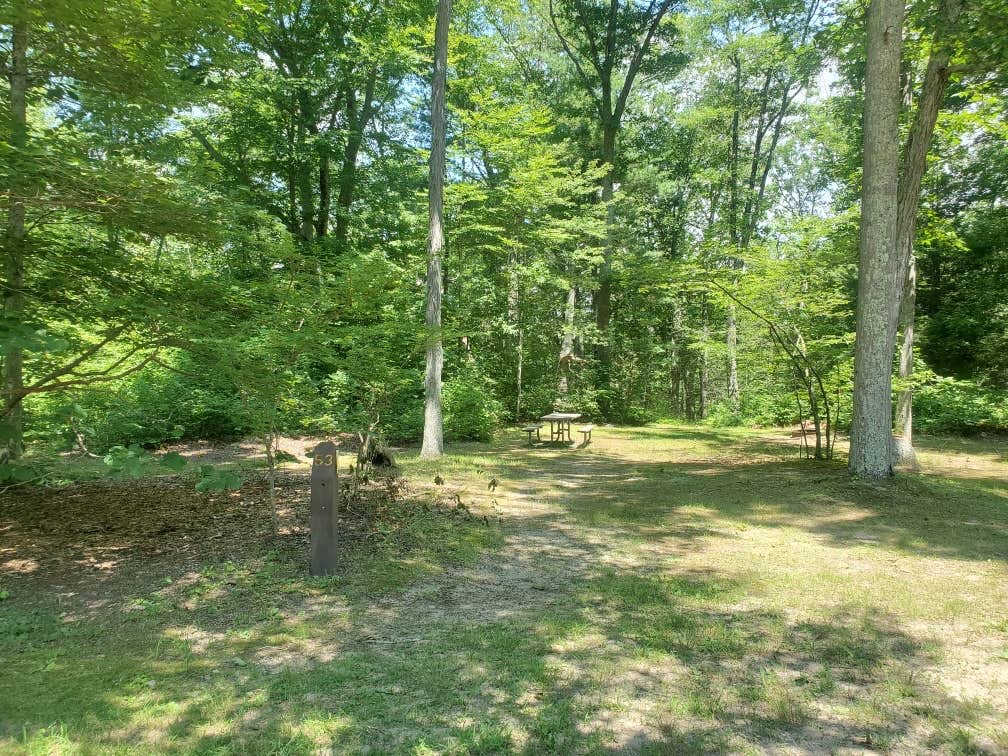 Camper-submitted photo at Mashamoquet Brook Campground — Mashamoquet Brook State Park near Ballouville, CT