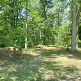 Review photo of Mashamoquet Brook Campground — Mashamoquet Brook State Park by Ashley H., July 5, 2026