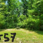 Review photo of Mashamoquet Brook Campground — Mashamoquet Brook State Park by Ashley H., July 5, 2026