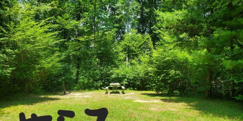 Camper submitted image from Mashamoquet Brook Campground — Mashamoquet Brook State Park