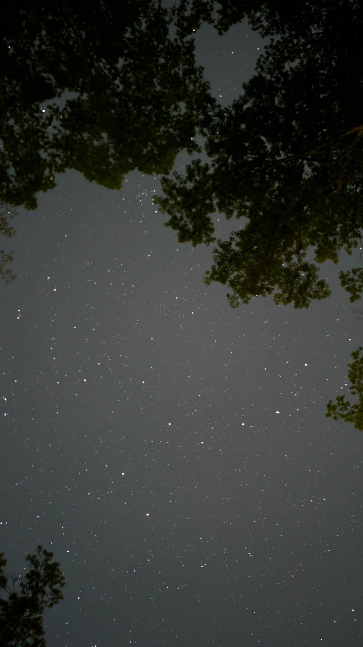 Mashamoquet Brook Campground — Mashamoquet Brook State Park